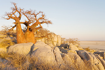 博茨瓦納帕拉佩機場三字代碼(QPH),帕拉佩機場(Palapye airport)四字碼,博茨瓦納機場三字碼查詢