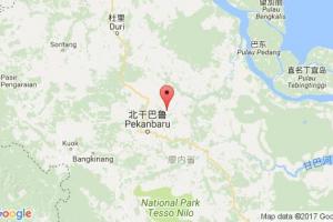 珀拉旺港口查詢(xún)_perawang港口代碼_印度尼西亞(印尼)珀拉旺港口代碼