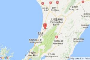 萊文港口查詢_levin港口代碼_新西蘭萊文港口代碼